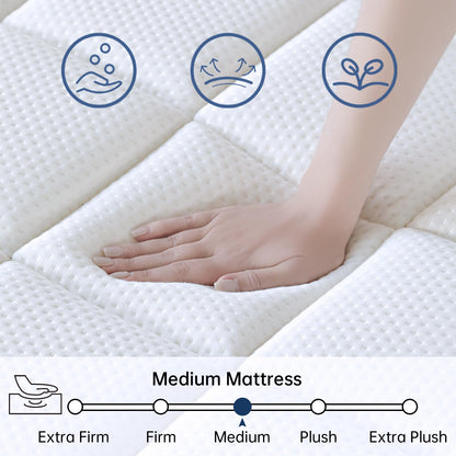 10 Inch Queen Size Memory Foam Mattress in a Box, Pressure Relief & Motion Isolation, Plush White, CertiPUR-US Certified